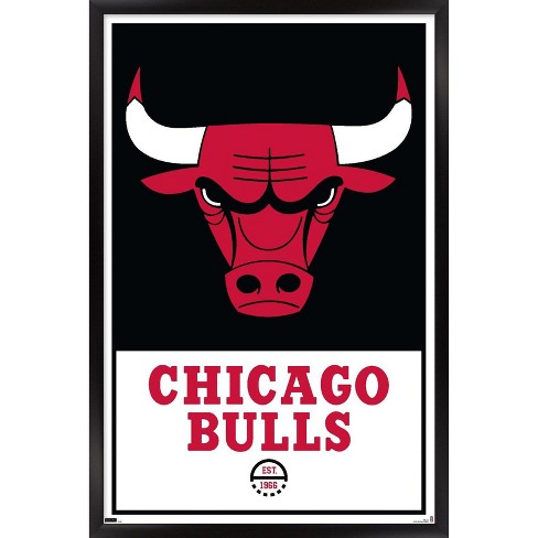 bulls logo 2022