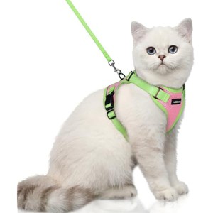 rabbitgoo Cat Harness and Leash Set, Escape , Easy Control Breathable Kitten Jacket with Reflective Strips, Pink & Light Green, XS - 1 of 1