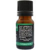 Plantlife Evergreen Aromatherapy Essential Oil Blend – 100% Pure, Therapeutic Grade, No Additives or Fillers, Made in California, 10 ml - 2 of 4
