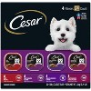 Cesar Classic Loaf In Sauce Adult Wet Dog Food - 3.5oz/24ct - 2 of 4
