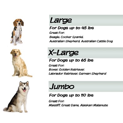 X-Large Beige and Black Orthopedic Memory Foam Dog Bed