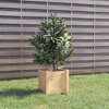 vidaXL Solid Pine Wood Garden Planters, Pack of 2, Stylish Square Design, Robust and Durable, for Indoor and Outdoor Use, Ideal for DIY Enthusiasts - 3 of 4