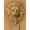 Royal Savanna Lion 58" High Large Italian Indoor Outdoor Decor Faux Stone Floor Fountain with Light LED Outside Garden Patio - 3 of 4