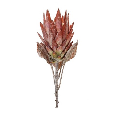 Melrose Protea Flower Stem (Set of 2)
