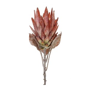 Melrose Protea Flower Stem (Set of 2) - 1 of 3