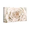 10" x 15" Brown Winter Flower Floral & Botanical Unframed Canvas Wall Art in White - Oliver Gal: Cottage Country Style, Digital Art Print - 4 of 4