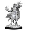 Dungeons & Dragons Nolzur's Marvelous Miniatures - Hobgoblin Fighter Male & Hobgoblin Wizard Female - 3 of 4