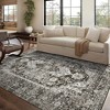 COZONY Washable Vintage Low Pile Area Rug, Non-Slip Non-Shedding Soft Floor Carpet for Living Room Bedroom Office - 3 of 4