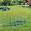 PawHut Dog Agility Training Equipment, 4 Piece Dog Agility Course for Old Dogs with Carrying Bag, Outdoor Use, Blue - 2 of 4
