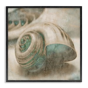 Stupell Industries Centered Sharkeye Seashell, 24" x 24" - 1 of 4