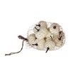 Whisen Set of 4, 2" Velvety Pumpkin In Mesh Bag, Bag/12, Harvest Festival Fall Festival & Thanksgiving Decor - White - 2 of 4