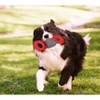 Pet Life Chompter Dura-Chew Plush Waterproof Tugging Nylon Dog Toy - image 2 of 2