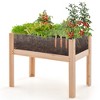 Costway Raised Wooden Garden Bed 24"/31" Elevated Planter Box Plant Terrarium with Drain Holes - 2 of 4
