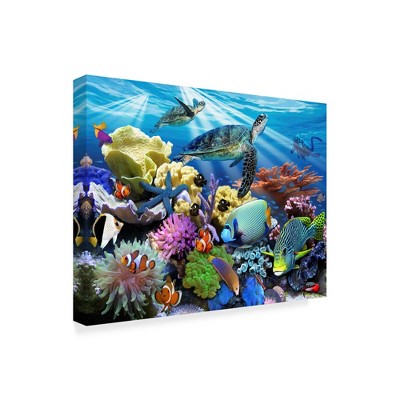 Trademark Fine Art -Howard Robinson 'Reef Turtles' Canvas Art