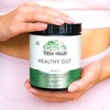 Terra Origin Healthy Gut Powder Mint - 7.83oz - 4 of 4