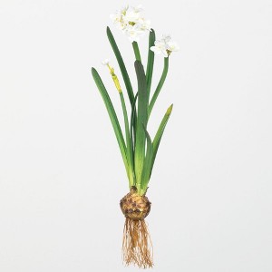 Sullivans Artificial Paperwhite With Bulb Stem 20" White - 1 of 4