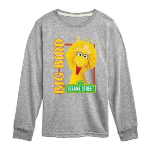 Boys' - Sesame Street - Big Bird Photo -Toddler and Youth Long Sleeve T-Shirt Long Sleeve Graphic T-Shirt - 1 of 3