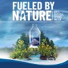 Ice Mountain Brand 100% Natural Spring Water - 2.5 gal (320 fl oz) Jug - 3 of 4
