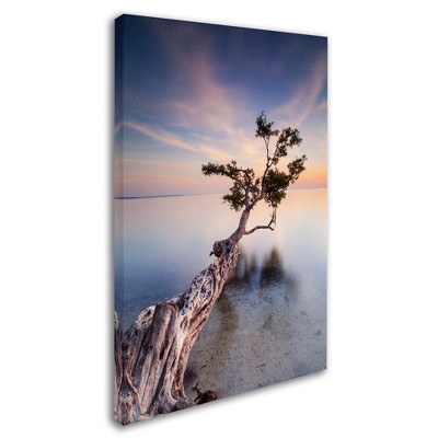 Trademark Fine Art -Moises Levy 'Water Tree X' Canvas Art