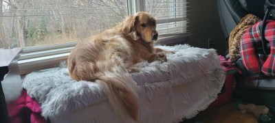 Guest review image 5 of 5, zoom in