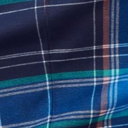 blue plaid