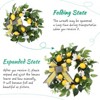 Artificial Lemon Wreath, 20 Inch Fake Spring Summer Eucalyptus Home Decor Wreath with Bowknot for Front Door Wedding Party Indoor Outdoor Decoration - 2 of 4