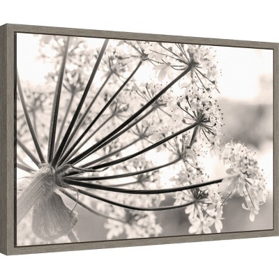 Floral Cow Parsnip Black and White Framed Canvas Print