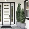 Acekool 5ft Topiary Pair - Realistic Cedar Look for Indoor & Outdoor - 3 of 4