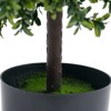Topiary Trees Artificial Outdoor - 4 of 4