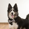 Pavilion Gift Company - Dog Bones Large - 5" x 3" Canvas Pet Bow Tie - Pet Apparel Accessories - 2 of 4