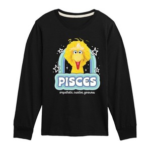 Boys' - Sesame Street - Pisces Big Bird -Toddler and Youth Long Sleeve T-Shirt Long Sleeve Graphic T-Shirt - 1 of 3