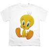 Boys' Short Sleeve Looney Tunes Cute Tweety T-Shirt Boys and Girls - 2 of 4