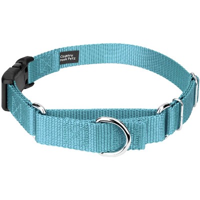 Country Brook Petz Heavy Duty Nylon Martingale Dog Collar with Deluxe Buckle - 30+ Vibrant Color Options
