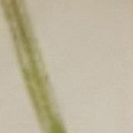 performance beach eco-weave