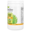 Kyolic Kyo-Green, Powdered Drink Mix, Greens Blend , 10 oz (0.63 lb) - 3 of 3