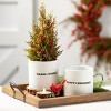 Sullivans Holiday Text Planter Multicolor 4.75"H  Set of 3 - 3 of 4