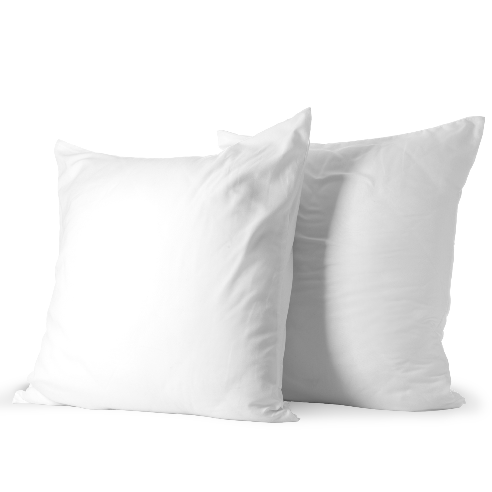 Cheer Collection Set of 2 Decorative White Square Accent Throw Pillows - 18" x 18"