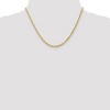 Black Bow Jewelry 3mm 10k Yellow Gold Diamond Cut Solid Rope Chain Necklace - 2 of 4