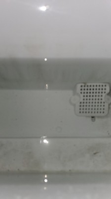 Guest review image 1 of 2, zoom in