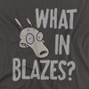 Rocko'S Modern Life What In Blazes? Adult T-Shirt Charcoal - 2 of 4