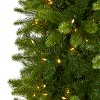 Nearly Natural 9-ft Slim Virginia Spruce Artificial Christmas Tree with 750 Warm White (Multifunction) - 3 of 4