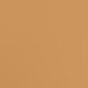 canyon camel