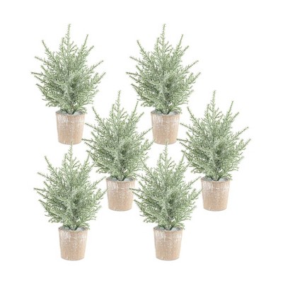 Melrose Frosted Holiday Pine Tree (Set of 6)