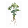 Caladium Bush Set Of 6 Plastic And Polyester Design With 18.5 Inch Height For Indoor Decor By Melrose - 3 of 3