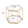 NicBex Coffee Tables for Living Room 16.54" High Hexagon Coffee Table with Tempered Glass Top and Steel Frame for Bedroom, Silver - 3 of 4