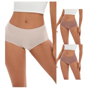INSPIRE CHIC 3 Pcs Women's Plus Size High Waist Tummy Control Briefs Butt Lifter Control Panties - 1 of 4