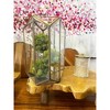 Essential Decor & Beyond Antique Brass 14" Glass and Metal Lantern Decorative Accent - 3 of 4