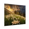 Trademark Fine Art Ales Komovec White Carpet Wood Slat Art - 2 of 4
