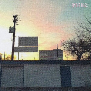 Spider Bags - Someday Everything Will Be Fine (Vinyl) - 1 of 1