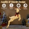Karl Home 5ft Leaping Golden Reindeer with 100 LED Lights Christmas Decoration - 4 of 4